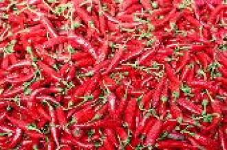 Röszkei Paprika Park